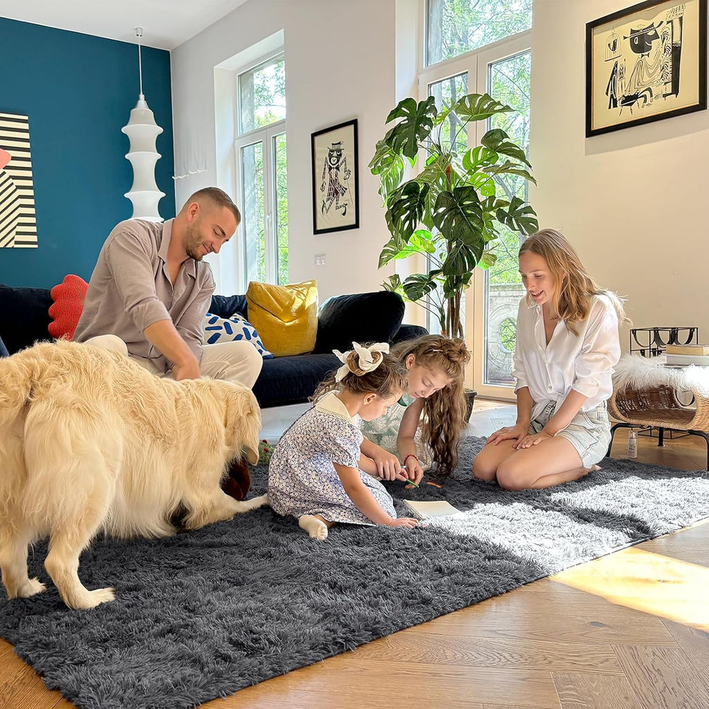 Plush shag rug in a dorm room making the space more welcoming