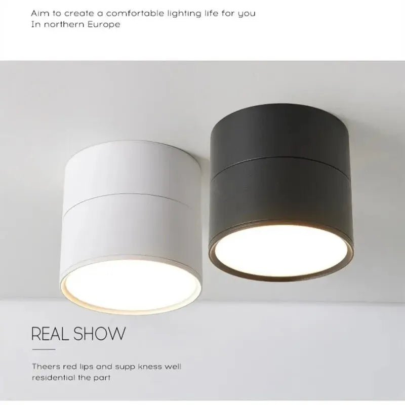 Dimmable LED Ceiling Light Fixture with Adjustable Brightness | Rotating Downlight for Versatile Home Illumination 1