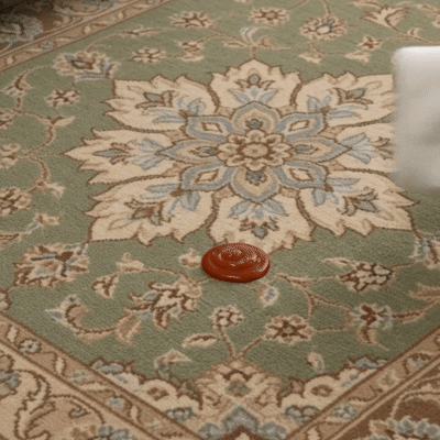 Sage Green Persian Medallion Rug | Vintage Washable Area Rug